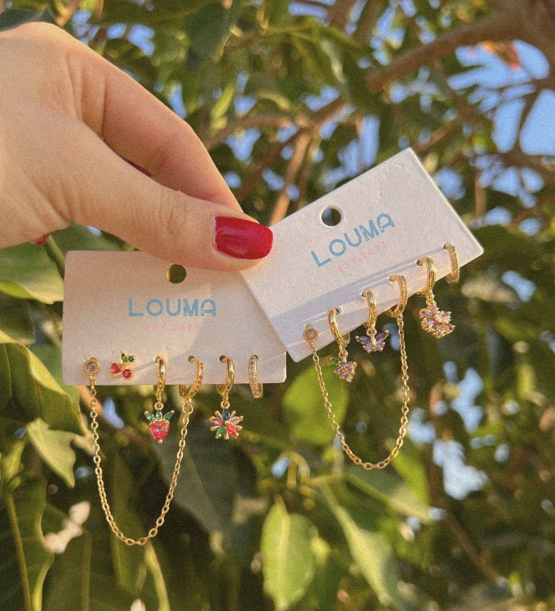Earrings